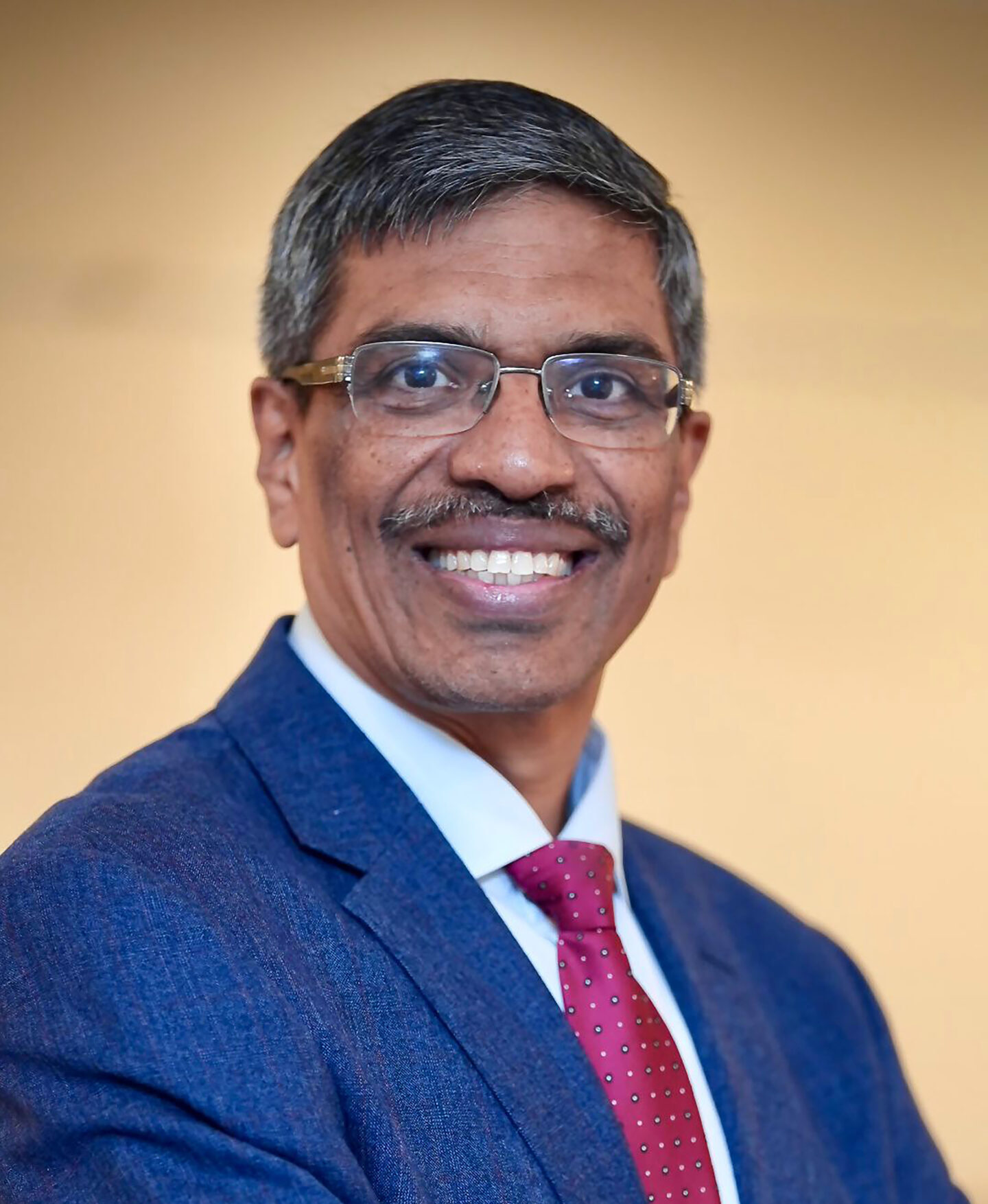 Prof. Rajat Moona, Director
